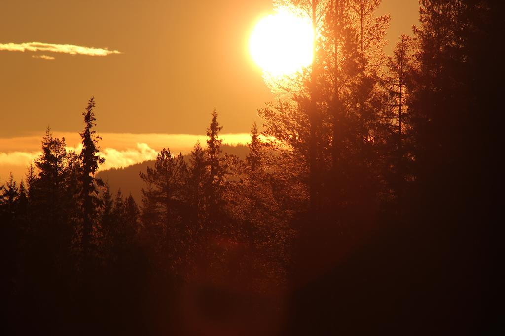 Trysilfjellet Leilighetshotell Cameră foto